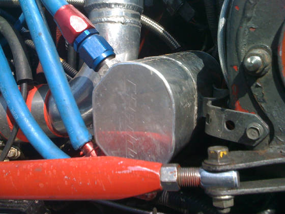 WEBPICTURES116.jpg
