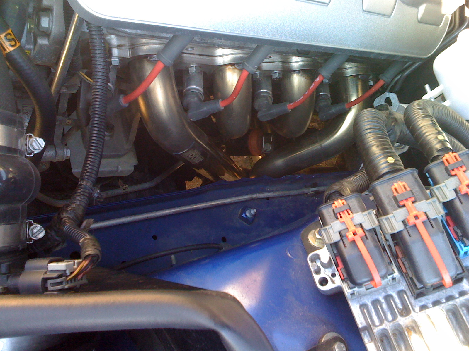 IMG0452.jpg